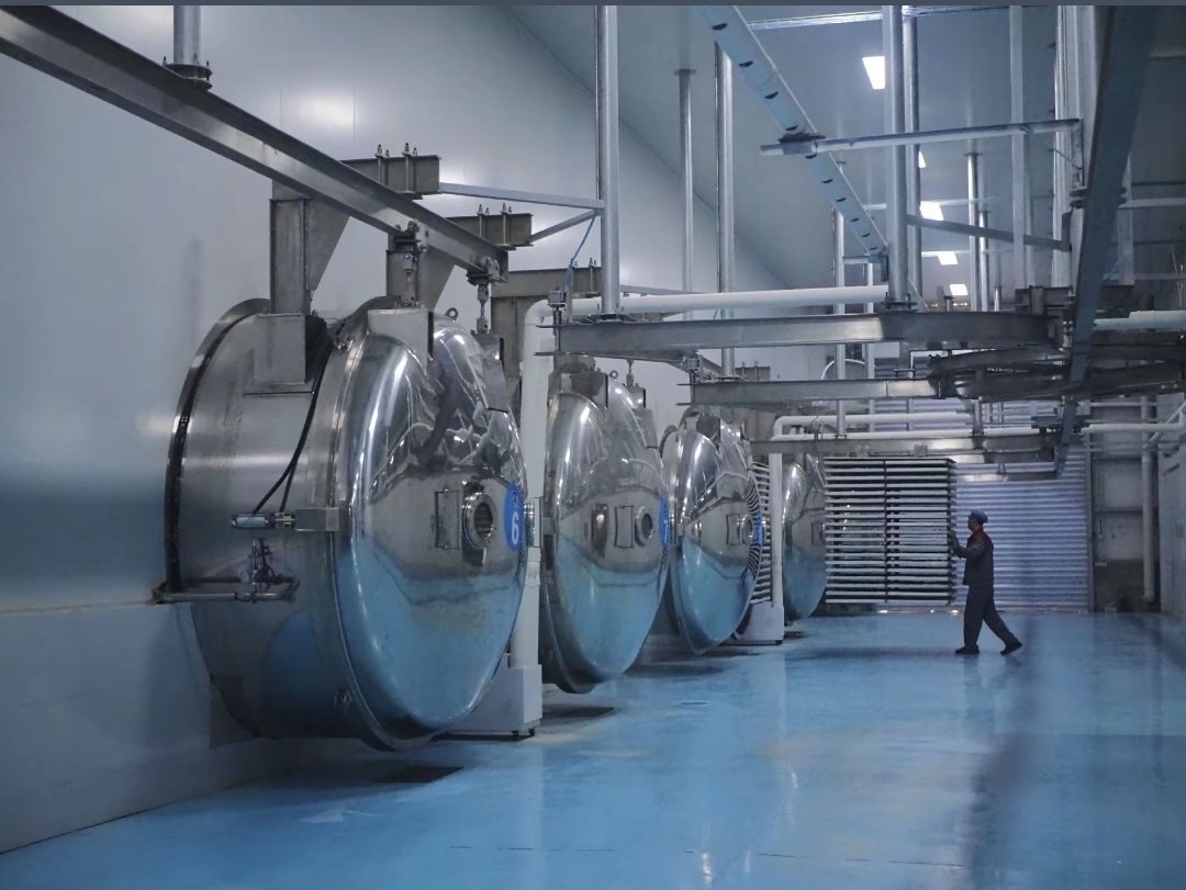 Large-scale pet treat processing equipment